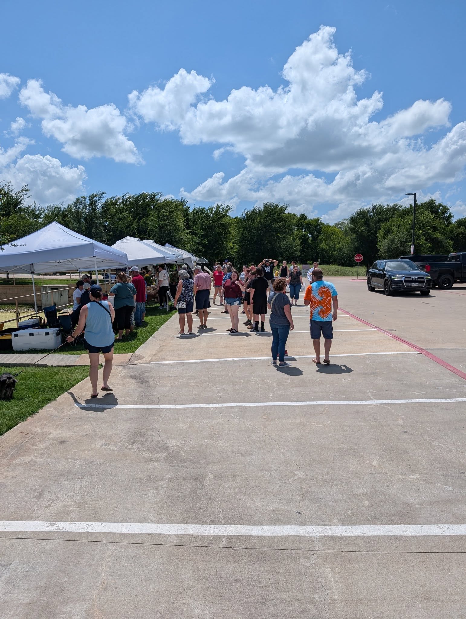 Market Day 07/19